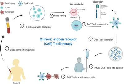 Frontiers Car T Cells For Colorectal Cancer Immunotherapy Ready To Go